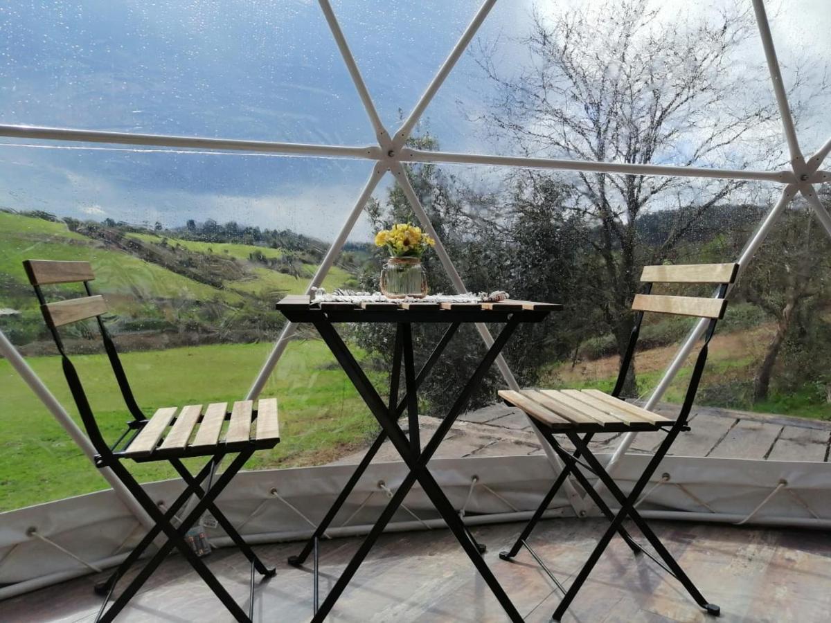 Glamping Quintana Hotel Gijon Ngoại thất bức ảnh