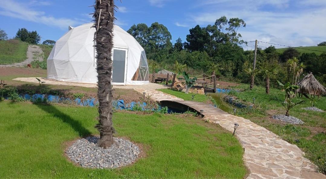 Glamping Quintana Hotel Gijon Ngoại thất bức ảnh
