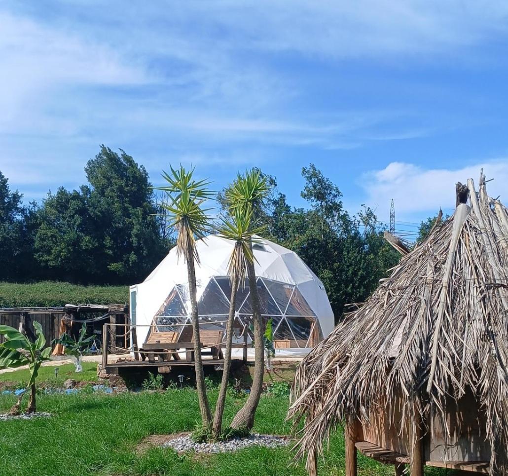 Glamping Quintana Hotel Gijon Ngoại thất bức ảnh